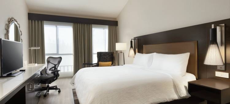库比蒂诺希尔顿花园酒店(Hilton Garden Inn Cupertino)图片