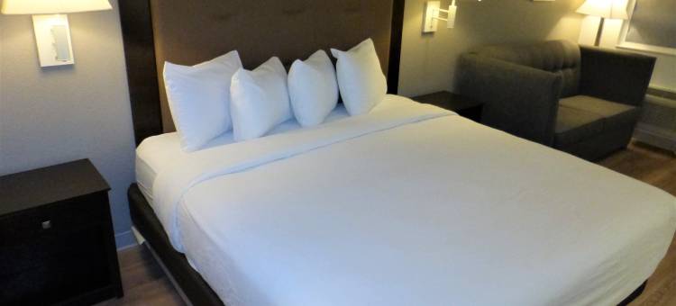 休斯顿红顶酒店-泽西村(Red Roof Inn Houston - Jersey Village)图片