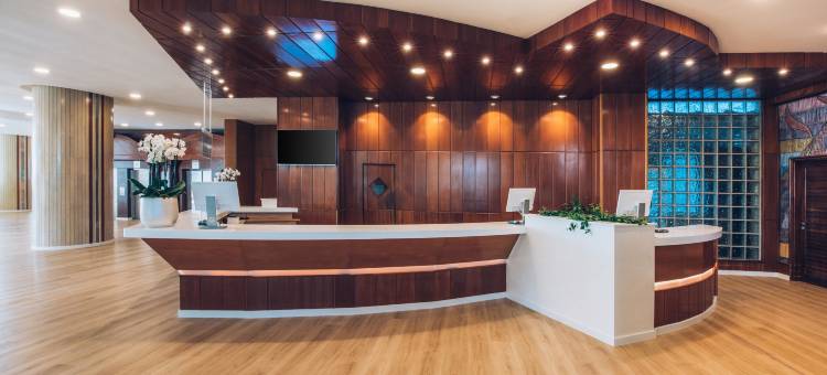 布干维尔海滩伊波罗之星海浪酒店(Iberostar Waves Bouganville Playa)图片