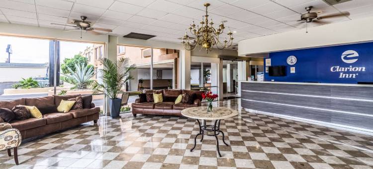 迈克艾伦机场附近凯隆酒店(Clarion Inn Near McAllen Airport)图片