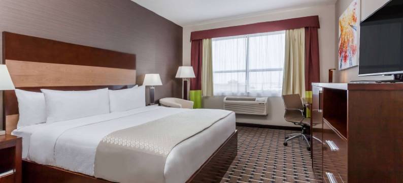 埃德蒙顿机场温德姆花园酒店(Wyndham Garden Edmonton Airport)图片