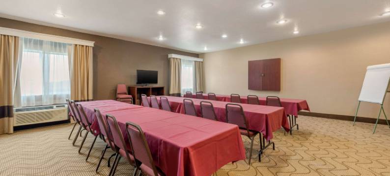 沃伦 I-69 舒适酒店(Comfort Inn Warren I-69)图片