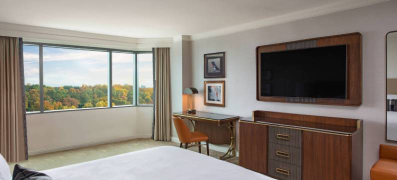 亚特兰大巴克海特JW万豪酒店(JW Marriott Atlanta Buckhead)图片