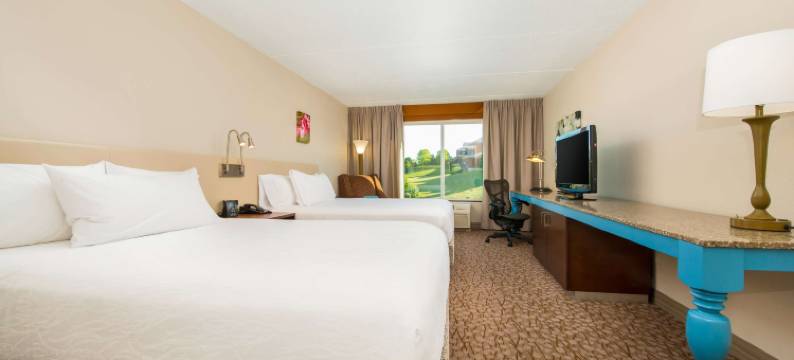 希尔顿花园旅馆-夏洛特镇(Hilton Garden Inn Charlottesville)图片