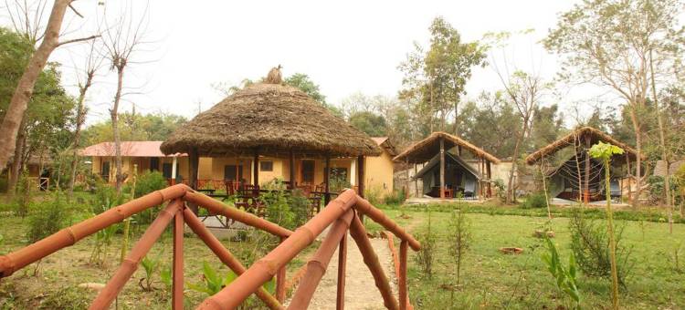 森林隐居酒店及小屋(Forest Hideaway Resort Pvt Ltd)图片