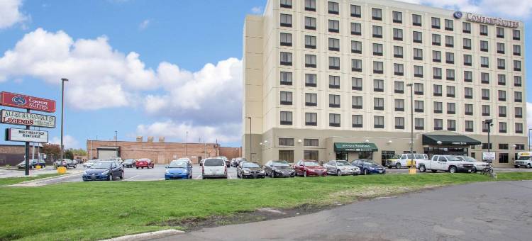 芝加哥奥黑尔机场舒适套房酒店(Comfort Suites Chicago O'Hare Airport)图片