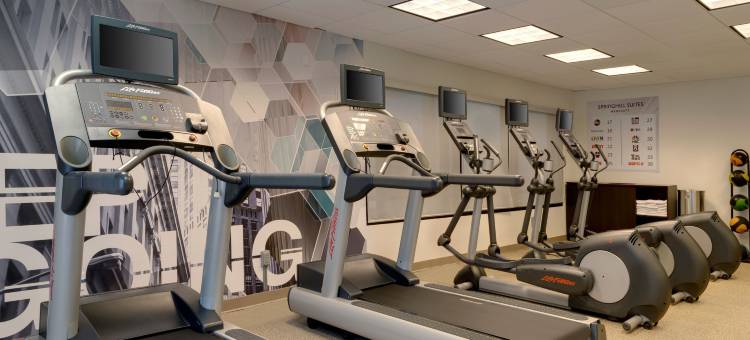 纽瓦克国际机场SpringHill Suites 酒店(SpringHill Suites by Marriott Newark International Airport)图片