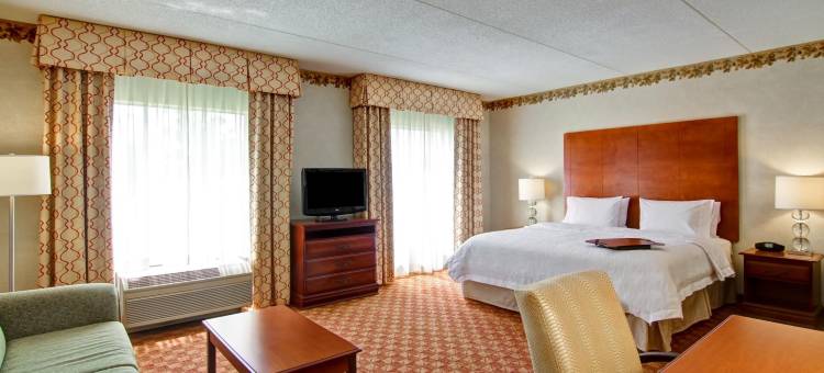利斯堡欢朋套房酒店(Hampton Inn & Suites Leesburg)图片