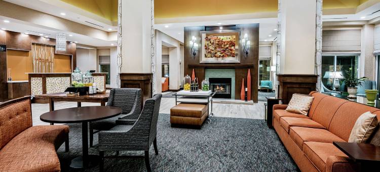 希尔顿花园酒店-圣马科斯(Hilton Garden Inn San Marcos)图片