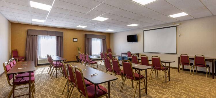 舒适套房酒店-佩里斯堡托莱多南(Comfort Suites Perrysburg - Toledo South)图片