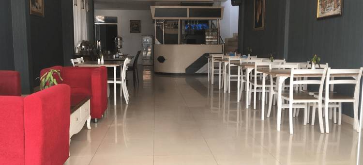 肯达里城市酒店(City Hotel Kendari)图片