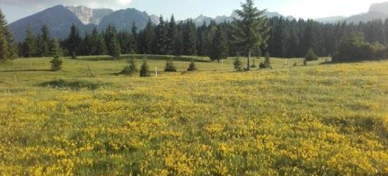 Etno House Uskoci图片