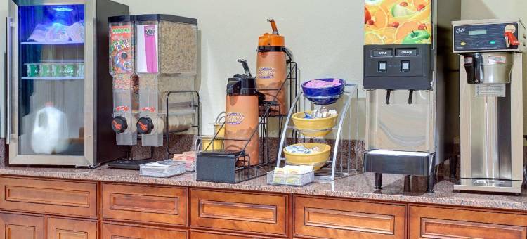 斯托克布里奇南亚特兰大戴斯套房酒店(Days Inn & Suites by Wyndham Stockbridge South Atlanta)图片