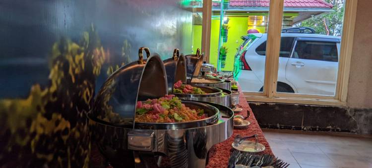 潘格兰酒店(Hotel Pangeran Padang Panjang)图片