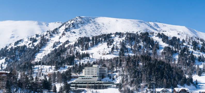 图拉切尔霍尼全景酒店(Panorama Hotel Turracher Höhe)图片