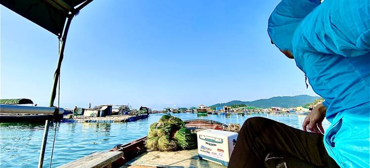 海陵岛闸坡大角湾公寓(旅游大道分店)图片