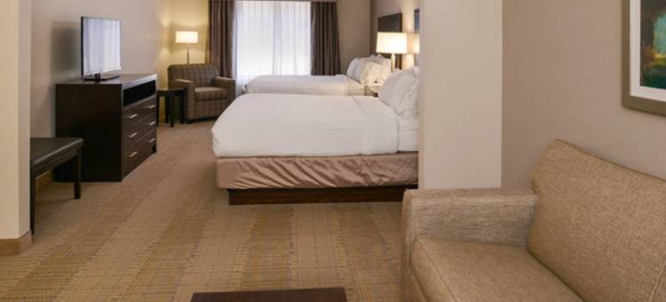 智选假日套房酒店塞克斯顿(Holiday Inn Express & Suites Sikeston)图片