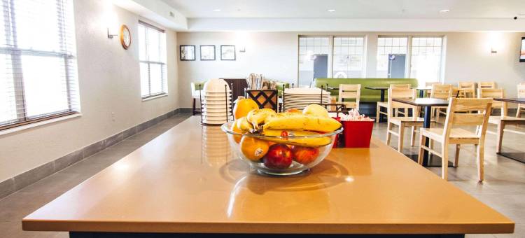 斯托克顿丽怡酒店(Country Inn & Suites by Radisson, Stockton, IL)图片