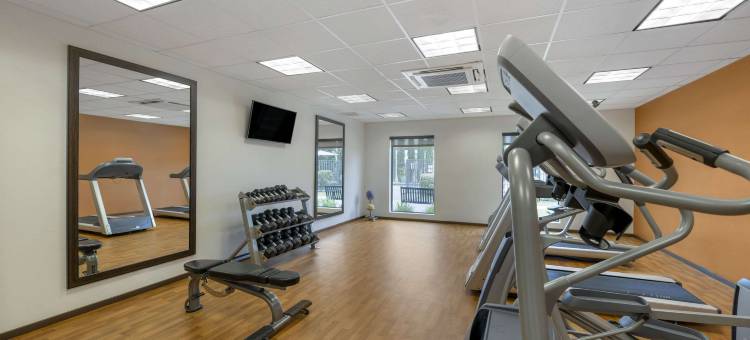 卡尔斯巴德舒适套房酒店(Comfort Suites Carlsbad)图片