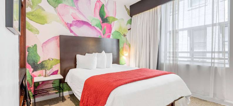 温德姆商标精选O酒店(The O Hotel, Trademark Collection by Wyndham)图片