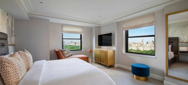 纽约艾塞克斯豪斯JW 万豪酒店(JW Marriott Essex House New York)图片