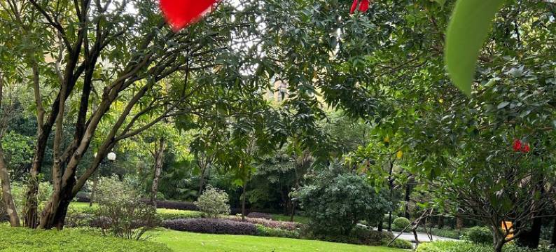 房东潮美居公寓(金碧路1号分店)图片