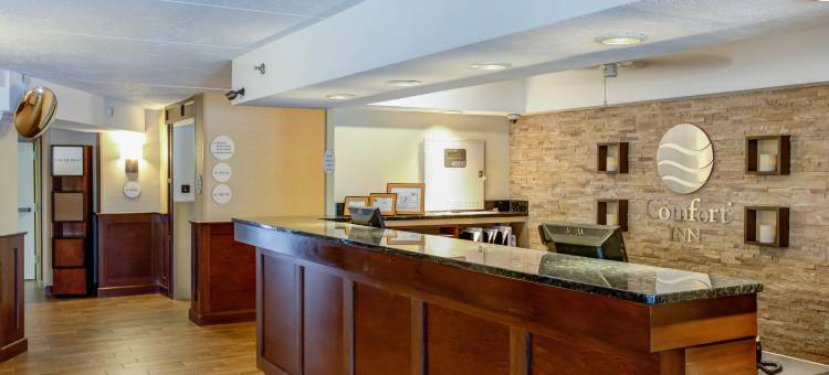 舒适酒店(Comfort Inn)图片