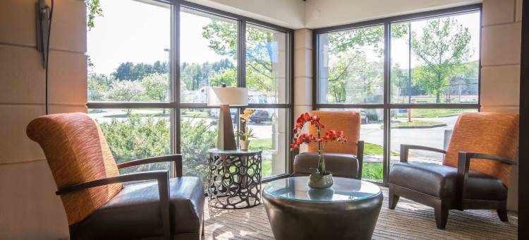 舒适酒店(Comfort Inn)图片