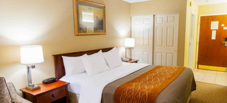 新荷兰阿米什乡村舒适酒店(Comfort Inn Amish Country)图片