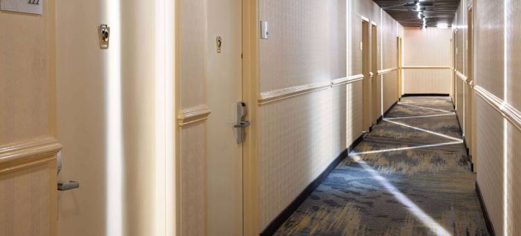 布朗克斯华美达酒店(Ramada by Wyndham Bronx)图片