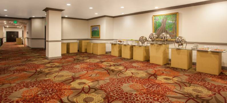 Crowne Plaza 巴拿马城(Crowne Plaza PANAMA by IHG)图片