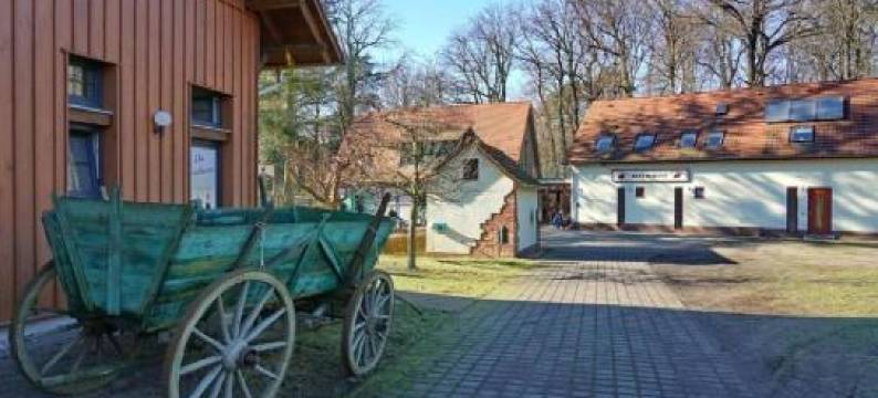 Ferienwohnung 6 - Gourmetzimmer图片