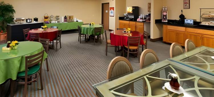 拉斯维加斯内利斯拉昆塔温德姆酒店(La Quinta Inn & Suites by Wyndham Las Vegas Nellis)图片