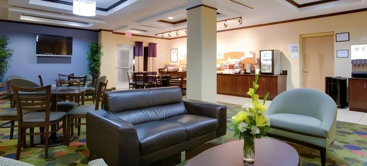 智选假日套房酒店罗利西南北卡罗来纳州(Holiday Inn Express & Suites Raleigh SW NC State)图片