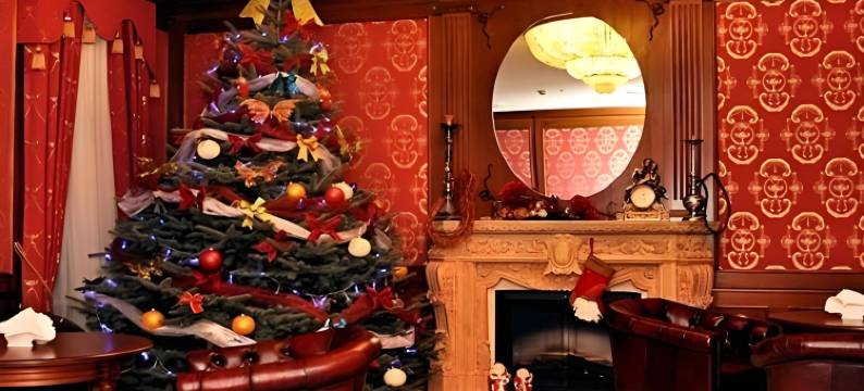 皇冠酒店(Hotel Koronny)图片