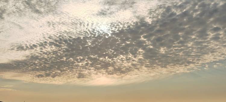 嘉年华旅居公寓(畚斗岙隧道分店)图片