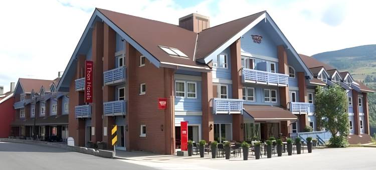 哈灵代尔松恩酒店(Thon Hotel Hallingdal)图片