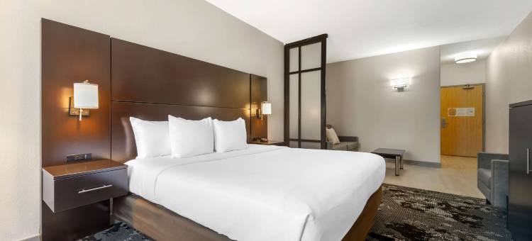 舒适套房酒店及会议中心-近奥兰多环球影城(Comfort Inn & Suites Near Universal Orlando Resort-Convention Ctr)图片