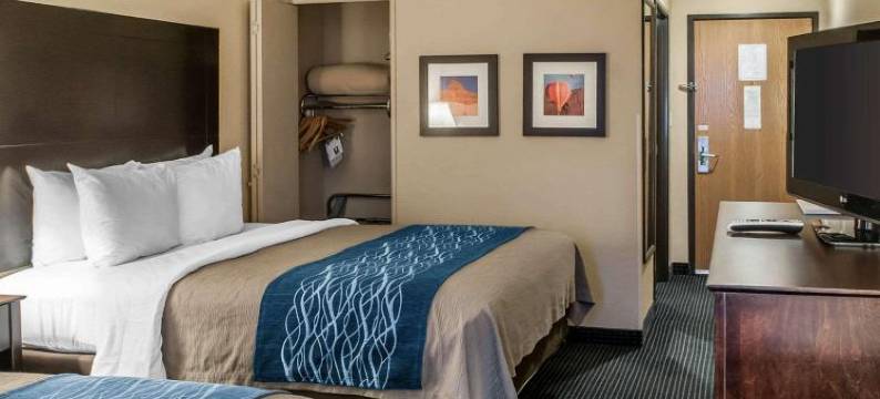 盖洛普 I-40 20号出口舒适酒店(Comfort Inn Gallup I-40 Exit 20)图片