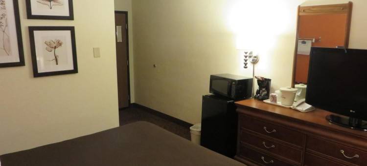 福里斯特莱克美吟温德姆酒店(AmericInn by Wyndham Forest Lake)图片