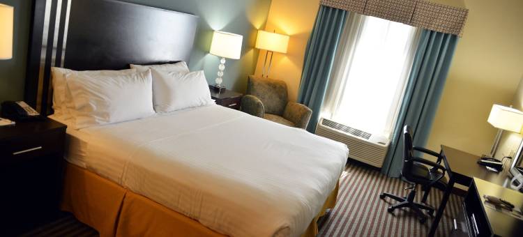 智选假日酒店及套房 扬斯敦西 - 奥斯丁镇 IHG(Holiday Inn Express & Suites Youngstown West - Austintown)图片