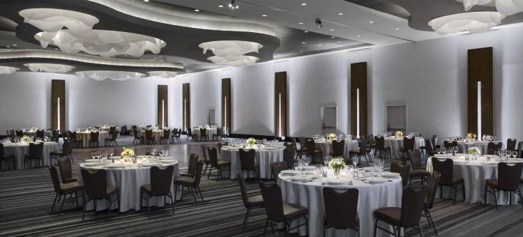 洛伊斯芝加哥奥黑尔酒店(Loews Chicago O'Hare Hotel)图片