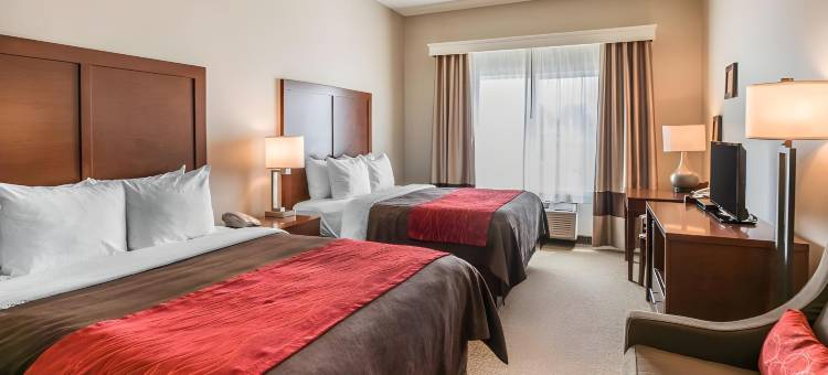 舒适套房酒店(Comfort Inn & Suites)图片