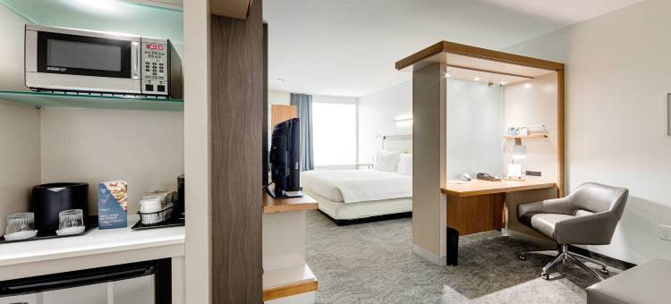 休斯顿伍德兰万豪SpringHill酒店(SpringHill Suites Houston the Woodlands)图片