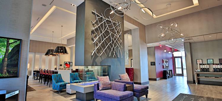 阿什维尔比特摩尔区希尔顿欢朋套房酒店(Hampton Inn & Suites Asheville Biltmore Area)图片