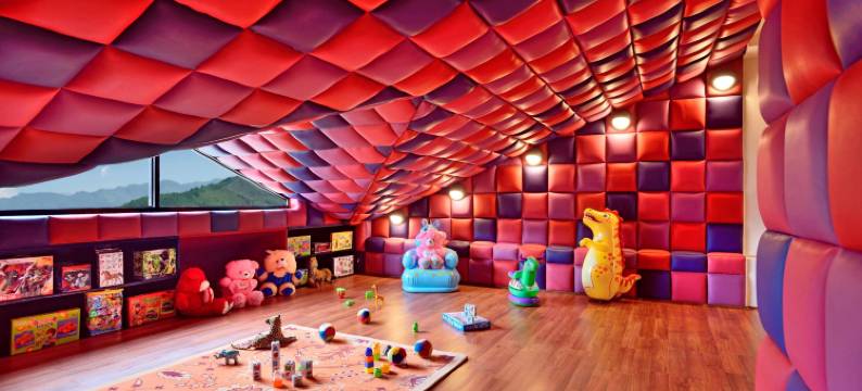 斯里纳格福朋喜来登酒店(Four Points by Sheraton Srinagar)图片