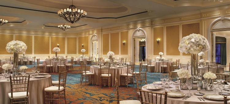 迈阿​​密力丽思卡尔顿椰林酒店(The Ritz-Carlton Coconut Grove, Miami)图片