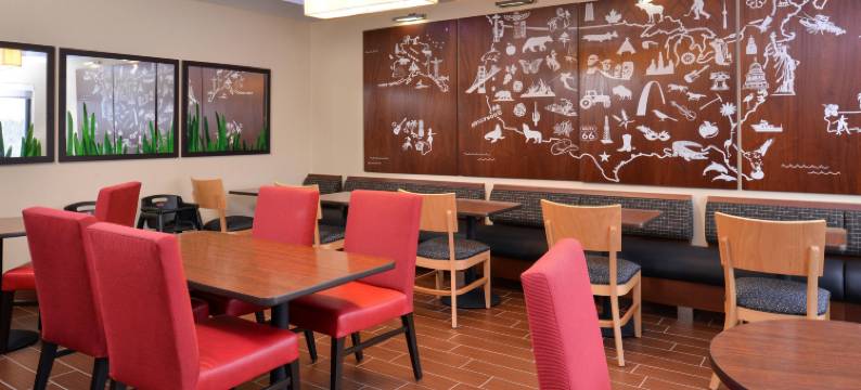 底特律商业区TownePlace套房酒店(TownePlace Suites Detroit Commerce)图片