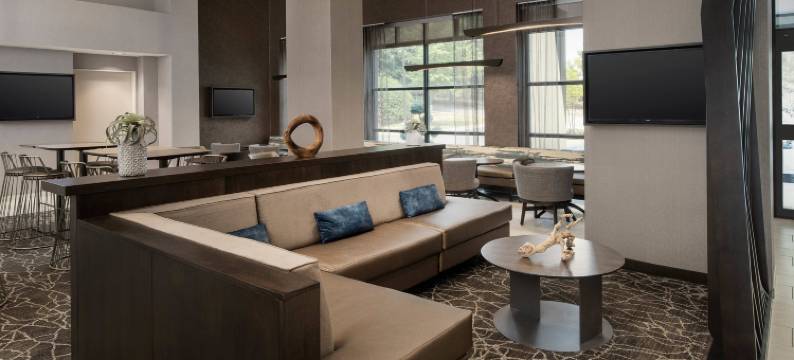 亚特兰大周界中心万豪SpringHill Suites酒店(SpringHill Suites Atlanta Perimeter Center)图片