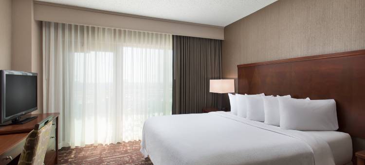 达拉斯弗赖拉辛希尔顿安泊水疗酒店&会议中心(Embassy Suites by Hilton Dallas Frisco Hotel & Convention Center)图片